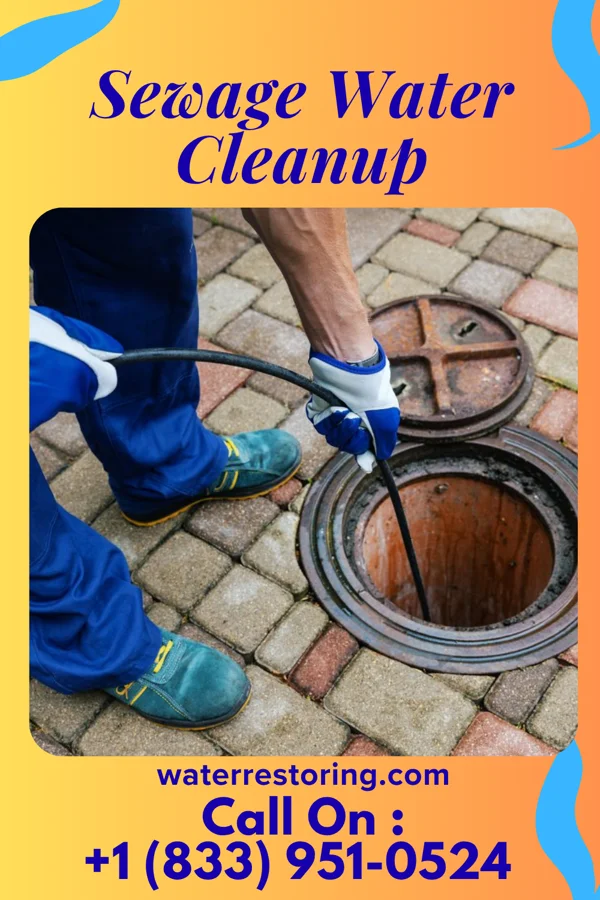 Sewage Water Cleanup in Sultan, WA